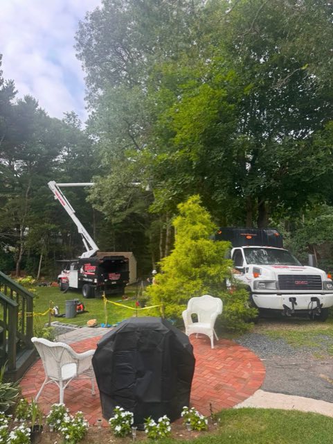 Tree Busters bucket truck working on trees beside a home, with the work zone taped off